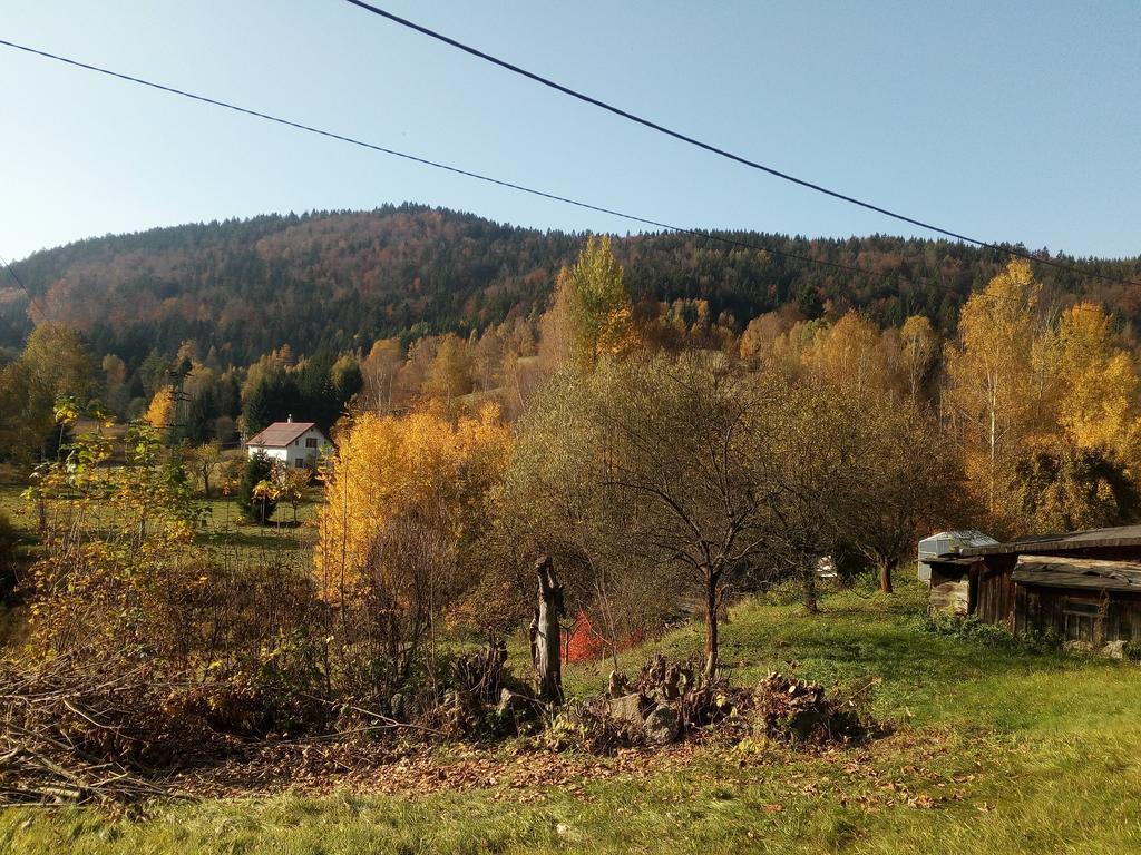 Apartment Krkonošská Tanvald Exteriér fotografie